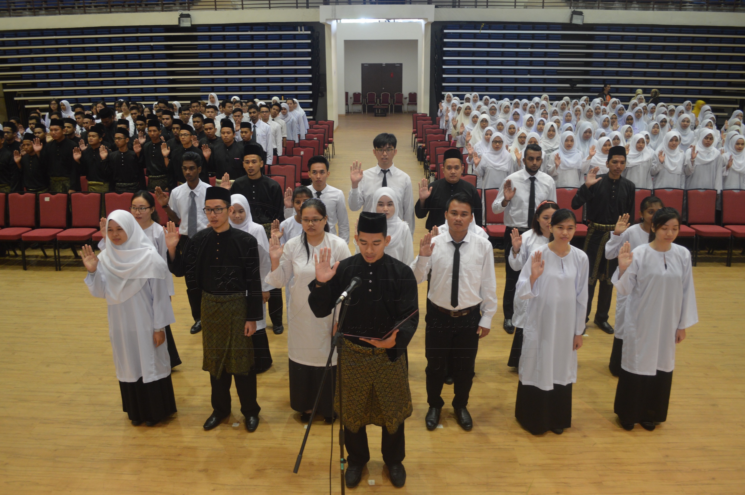 PRO16 15 ismp DSC 0366